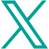 公式X